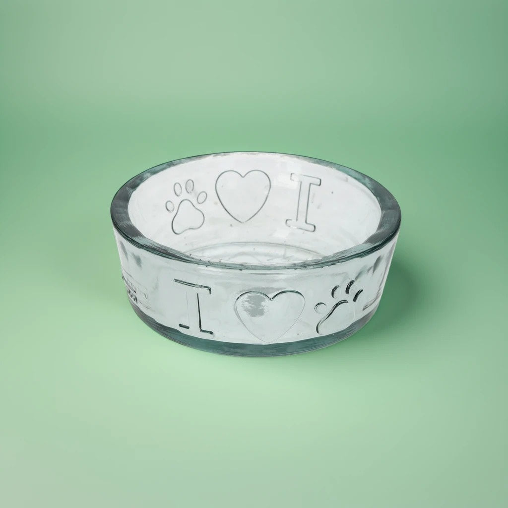 Cat Food and Water Bowl