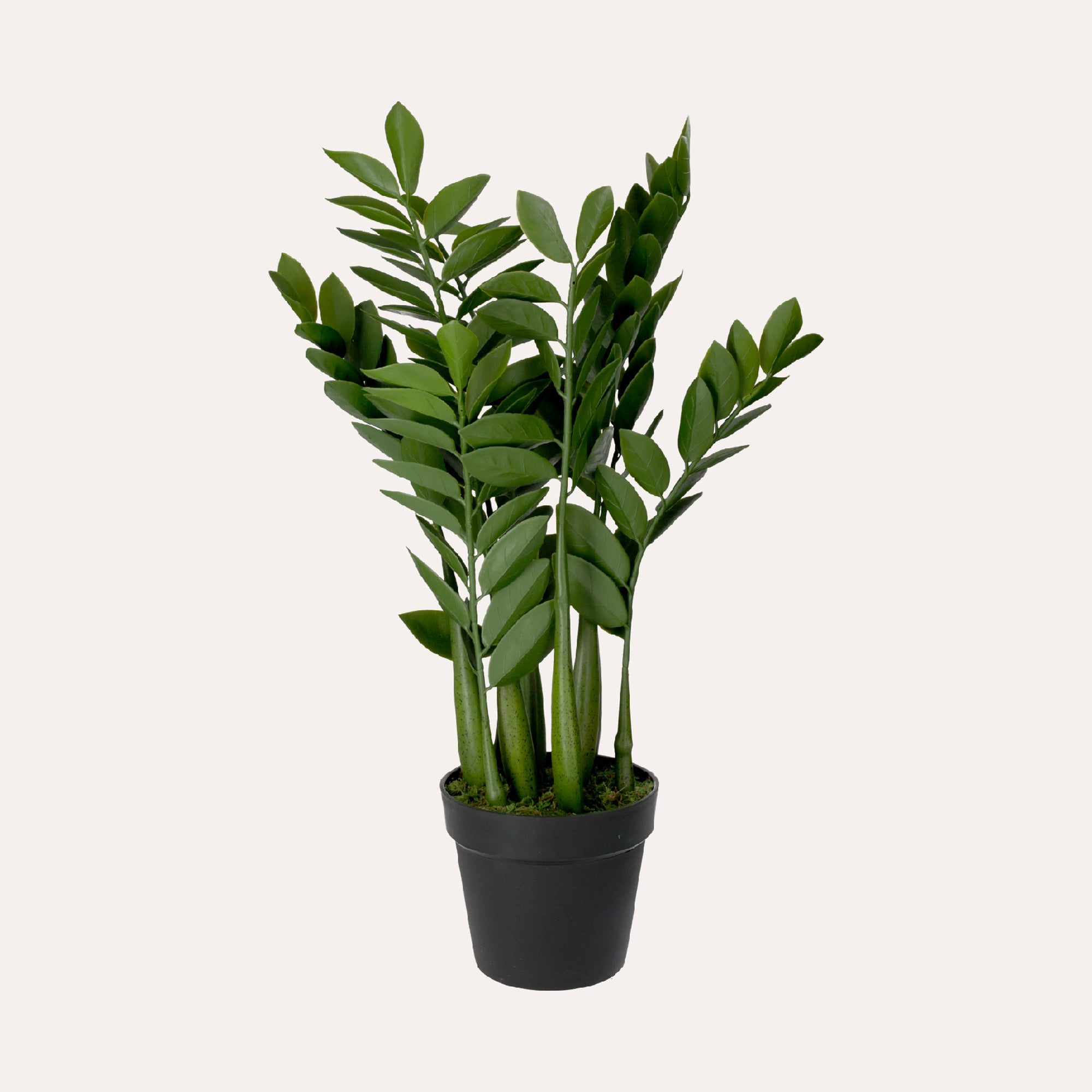 Artificial Zanzibar Gem Plant H. 34 cm