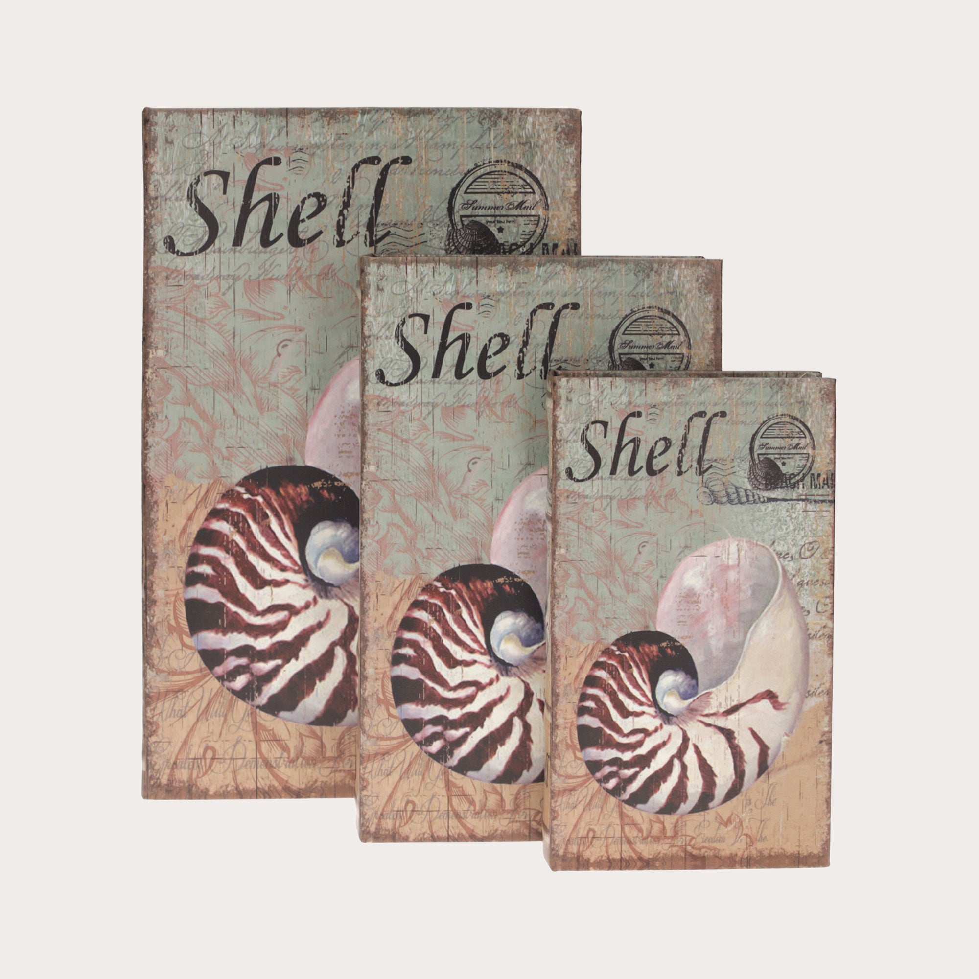 Tris di Scatole Libro con Design a Conchiglia