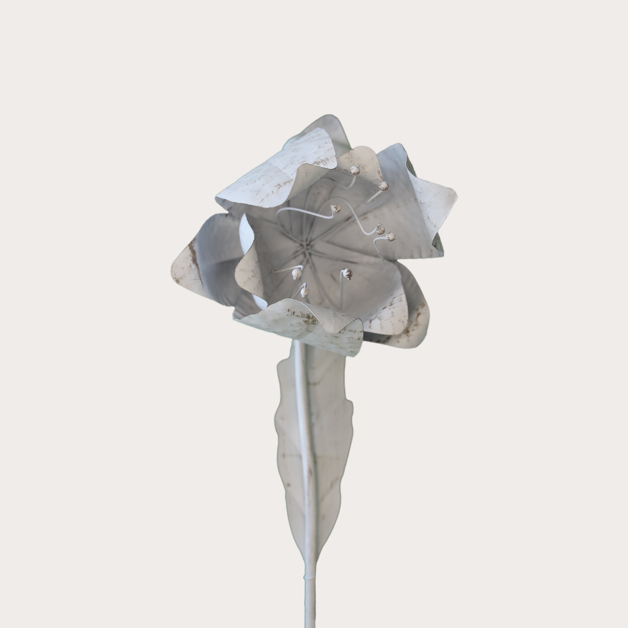 Piantone Decorativo In Ferro A Forma Di Fiore Di Loto, Elegante Per Angoli Verdi