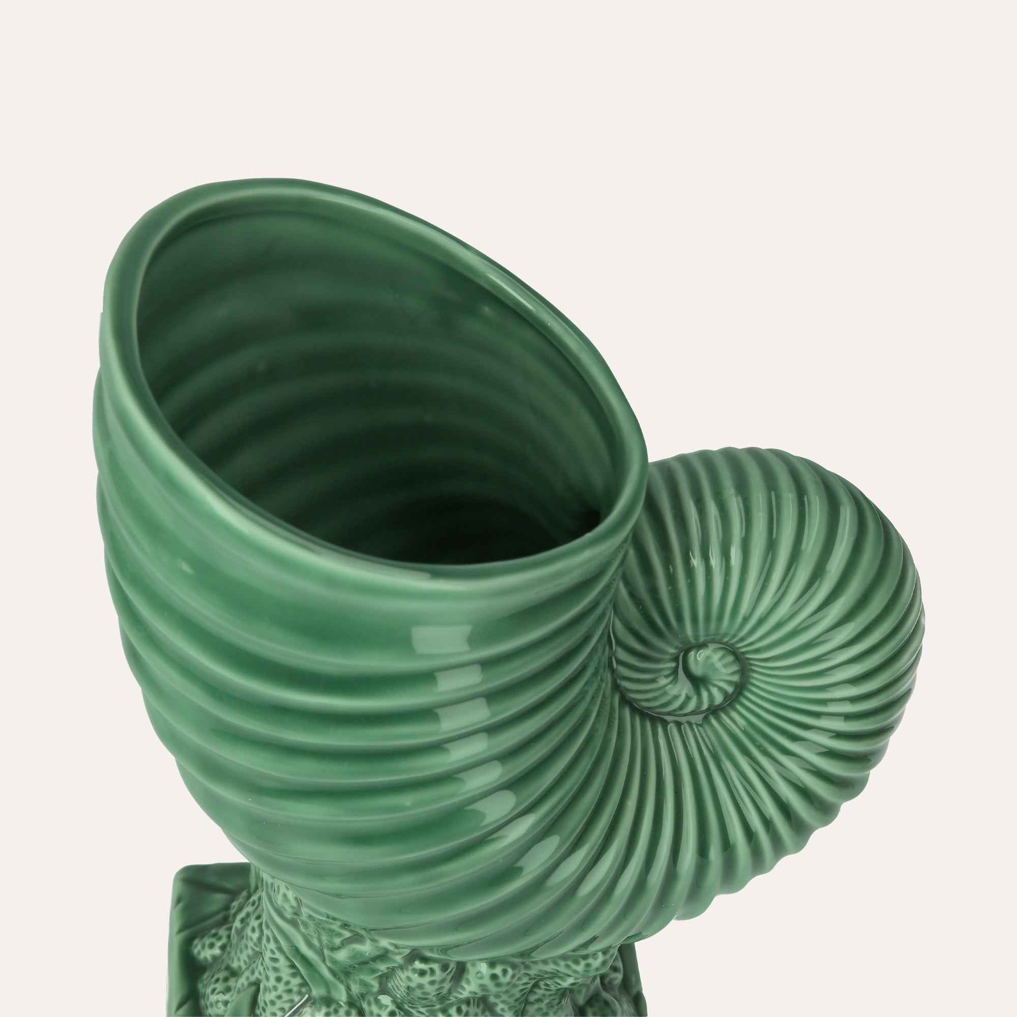 Vaso Nautilus in Ceramica Verde Lucido per Interni