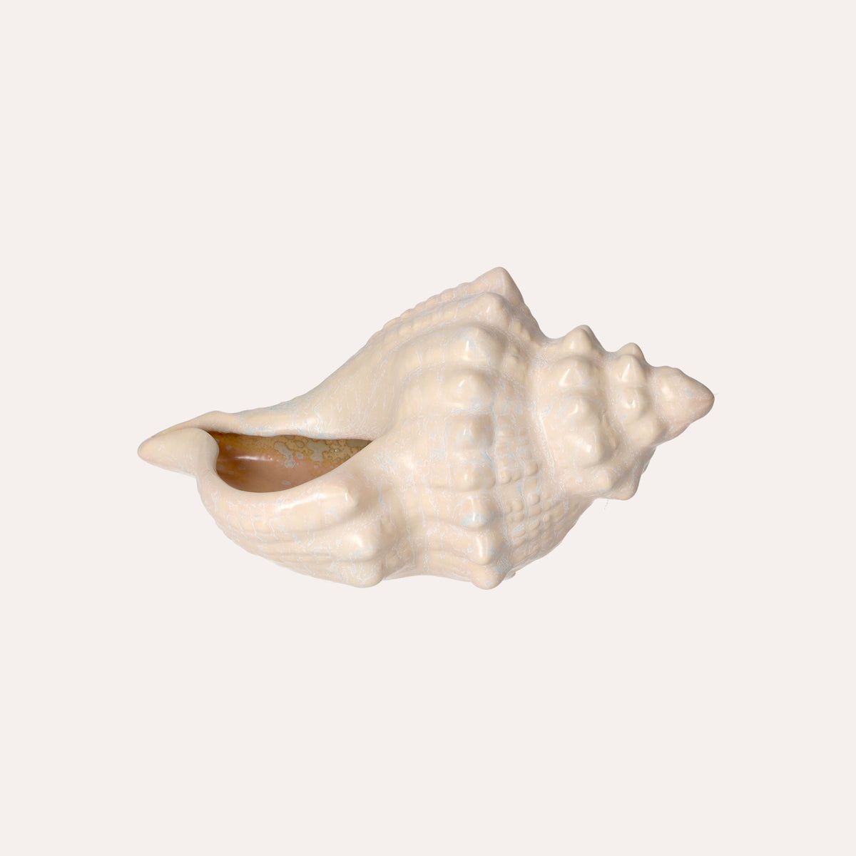 Conchiglia Decorativa Bianca Lucida Soprammobile Marino in Ceramica