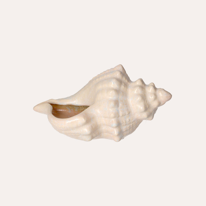Conchiglia Decorativa Bianca Lucida Soprammobile Marino in Ceramica