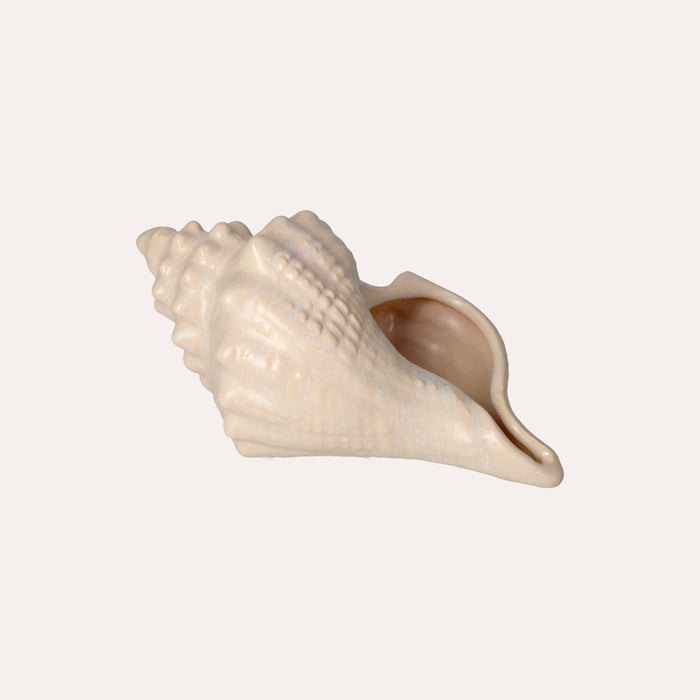 Conchiglia Decorativa Bianca Lucida Soprammobile Marino in Ceramica