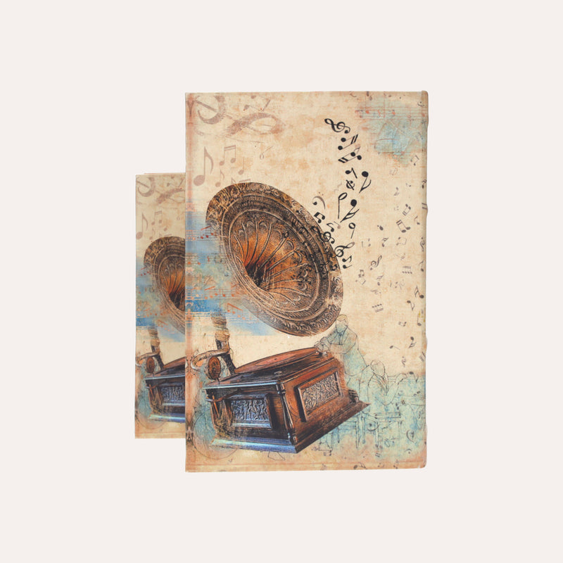 Coppia Scatole Phonograph