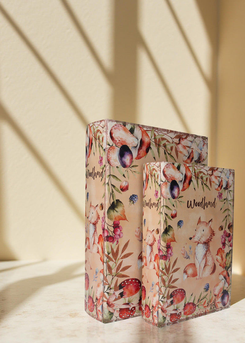 Set di Scatole Finti Libri contenitore con Motivo decorativo Volpe