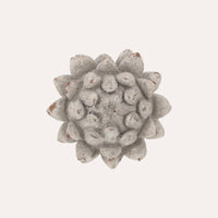 Bocciolo Decorativo in Resina Grigia per Interni ed Esterni