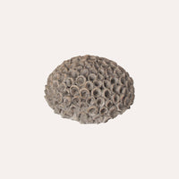 Corallo Decorativo in Resina Grigia Stile Marittimo