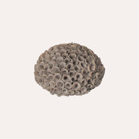 Corallo Decorativo in Resina Grigia Stile Marittimo