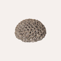 Corallo Decorativo in Resina Grigia Stile Marittimo