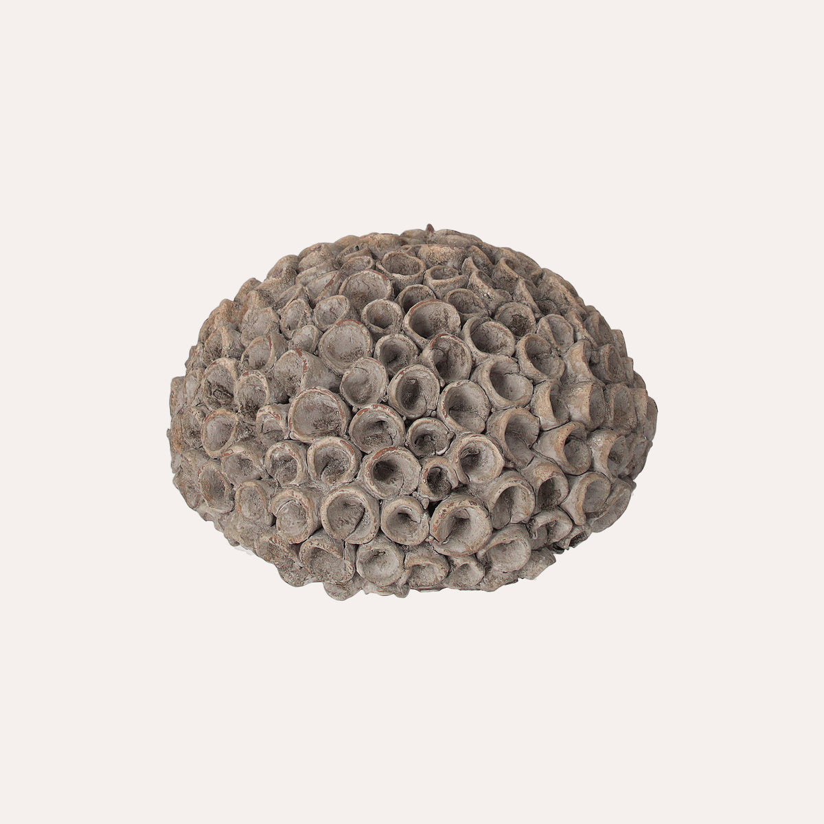 Corallo Grigio in Resina per Decorazioni Eleganti