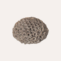 Corallo Grigio in Resina per Decorazioni Eleganti