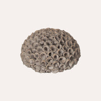 Corallo Grigio in Resina per Decorazioni Eleganti