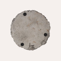 Corallo Grigio in Resina per Decorazioni Eleganti