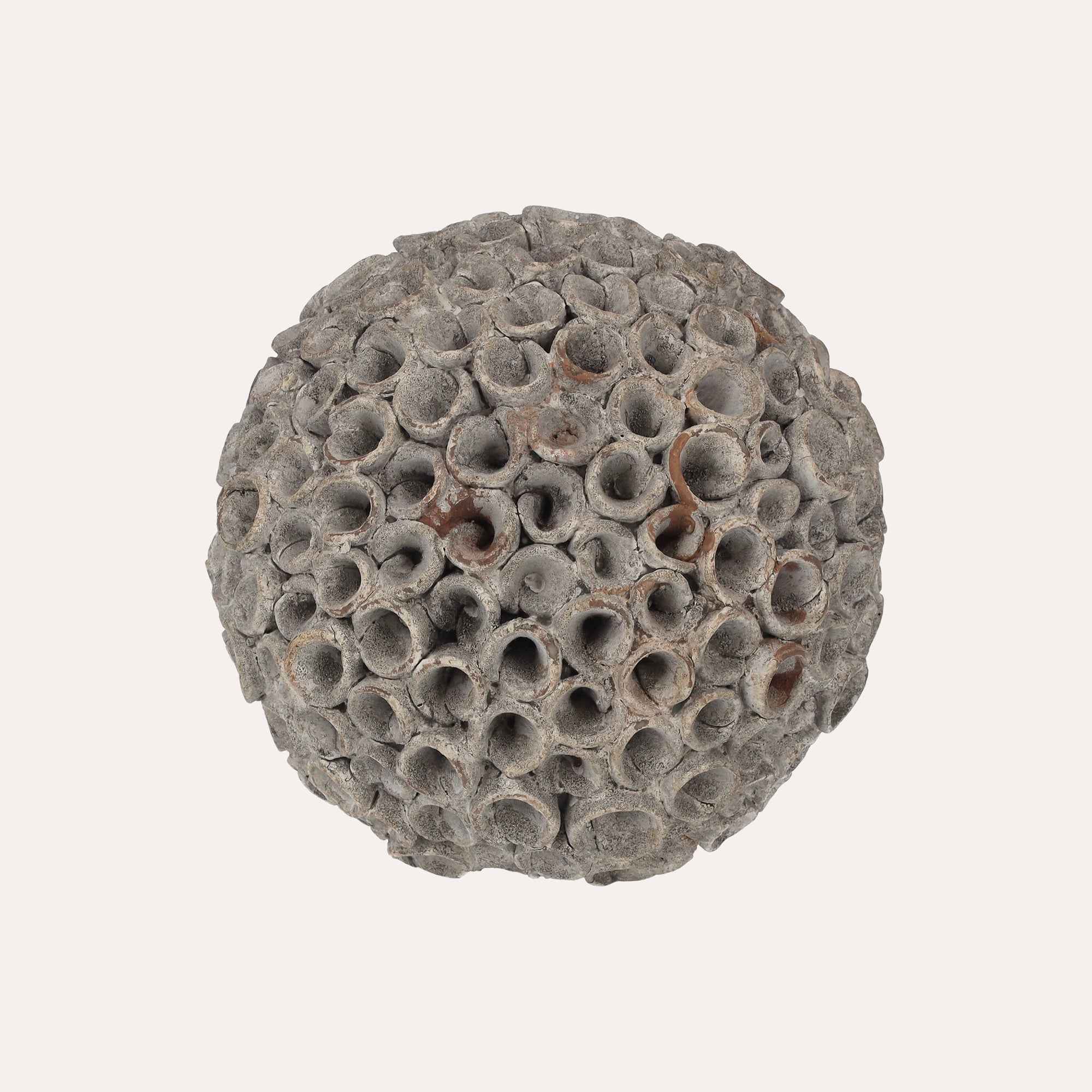 Corallo Decorativo in Resina Grigio Piccolo