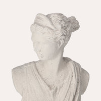 Busto Donna Decorativo