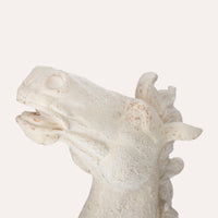 Scultura Testa di Cavallo in Resina Bianca – 53x40x15 cm
