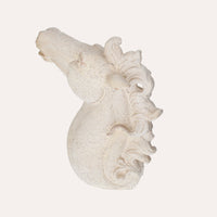 Scultura Testa di Cavallo in Resina Bianca – 53x40x15 cm