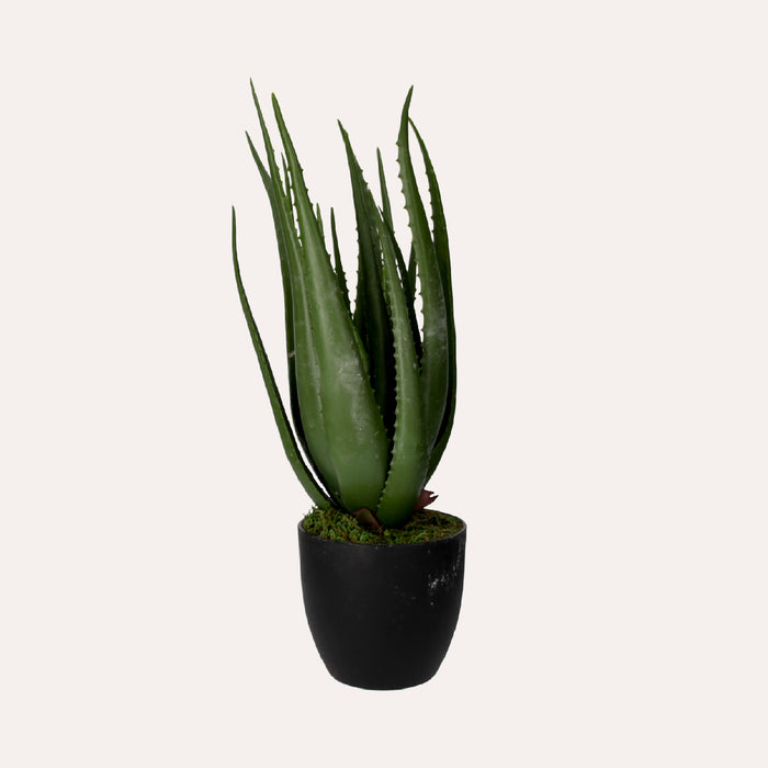 Pianta Artificiale Aloe Vera Alta 66 cm con Vaso