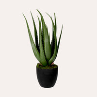 Pianta Artificiale Aloe Vera Alta 66 cm con Vaso
