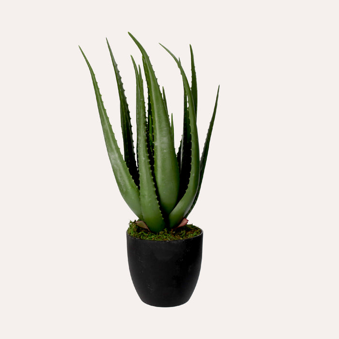 Pianta Artificiale Aloe Vera Alta 66 cm con Vaso
