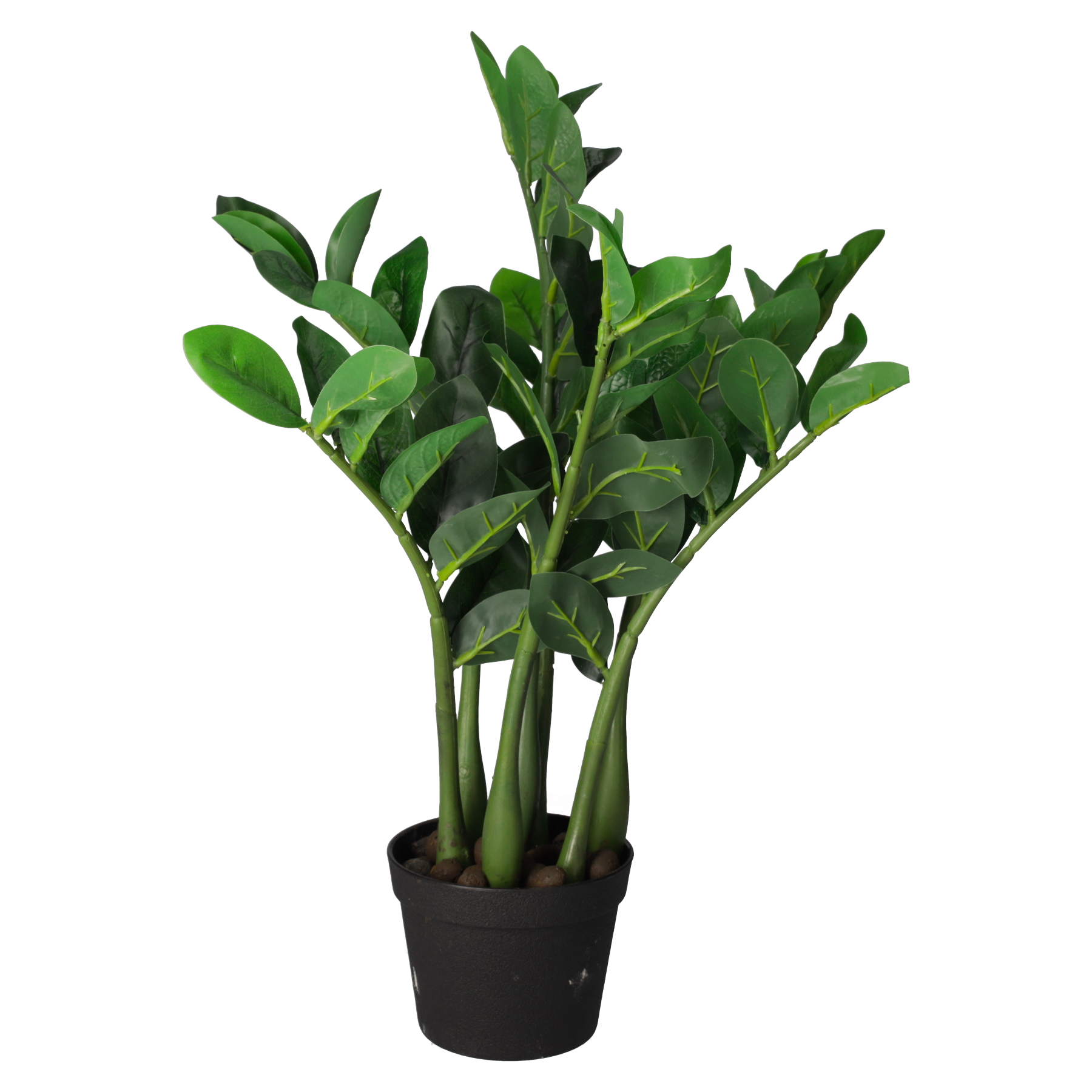 Pianta Artificiale Zamioculcas In Vaso – 7 Rami, 70 Cm – Perfetta Per Ufficio E Casa, Sempre Verde - 3