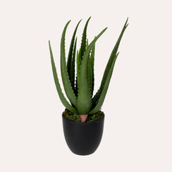 Pianta Artificiale Aloe Vera Alta 40 cm con Vaso
