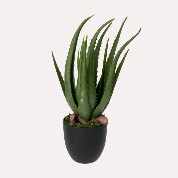Pianta Artificiale Aloe Vera Alta 40 cm con Vaso