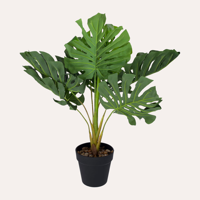 Monstera Artificiale Di Alta Qualità, Decorazione Esotica Senza Manutenzione