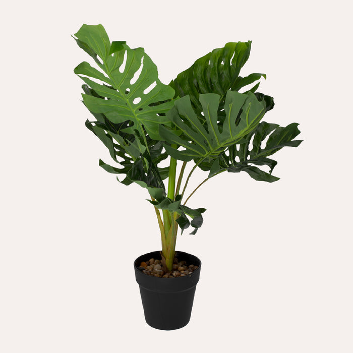 Monstera Artificiale Di Alta Qualità, Decorazione Esotica Senza Manutenzione