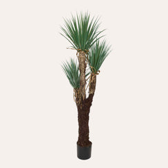Pianta Artificiale Yucca Alta 150 cm in Vaso