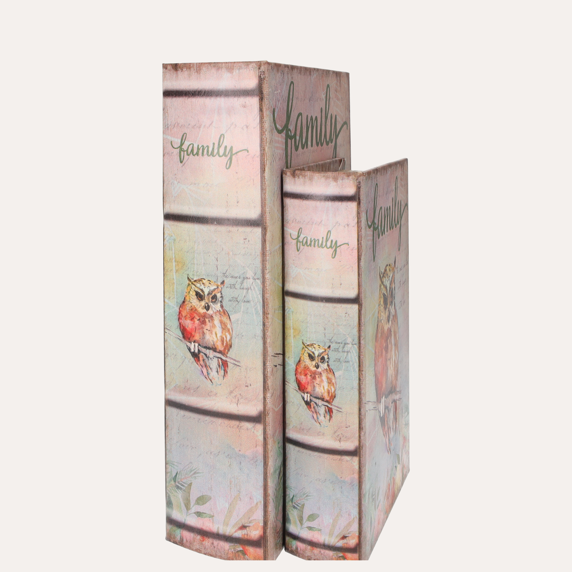 Coppia Scatole Libro Civetta in MDF