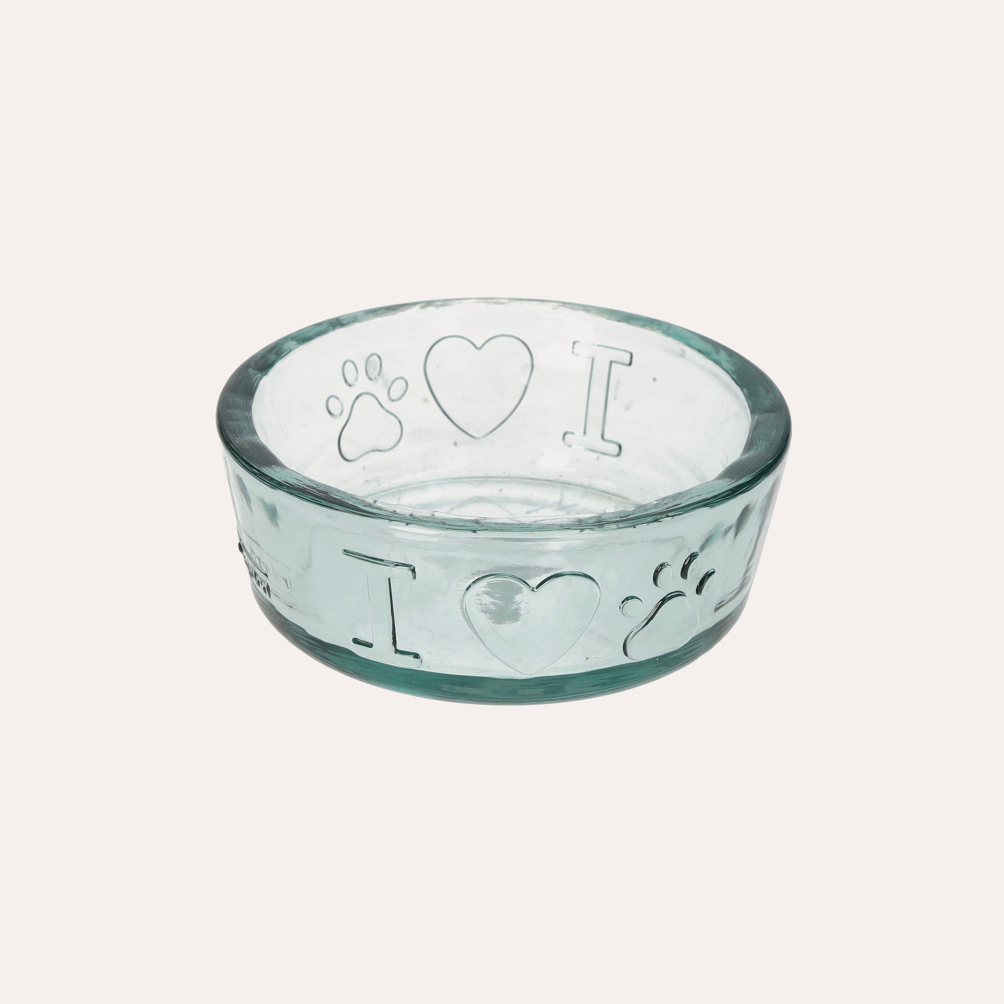 Cat Food and Water Bowl 